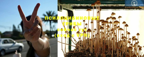 винт Инсар