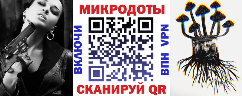 Купить где  Шарья  Псилоцибиновые грибы Cubensis 